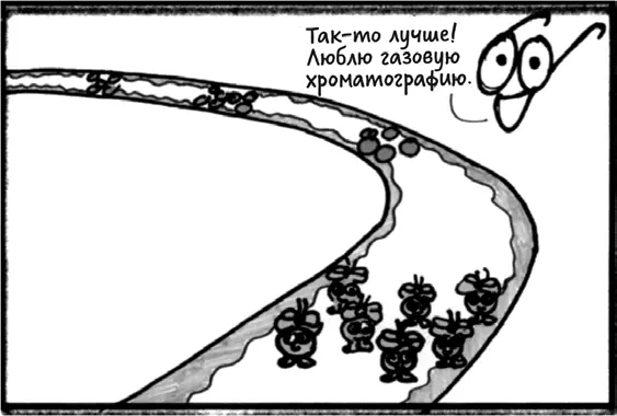 К тому времени как они доходят до конца колонки все молекулы уже поделены на - фото 63