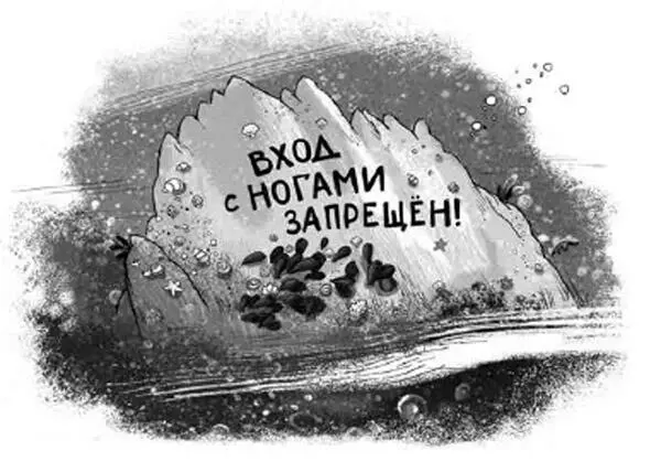 4 Вход с ногами запрещён Людям вход в Тайную Лагуну действительно запрещён - фото 3