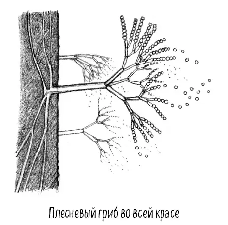 Поэтому то что мы видим это как бы только верхушка айсберга вот почему не - фото 25
