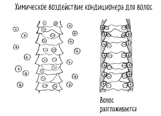 Какое все это имеет отношение к микроорганизмам Дело в том что поверхность - фото 40
