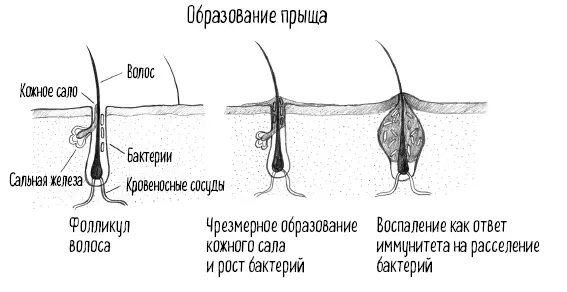 Плюс к этому для устранения причин пытаются как можно эффективнее удалять с - фото 64