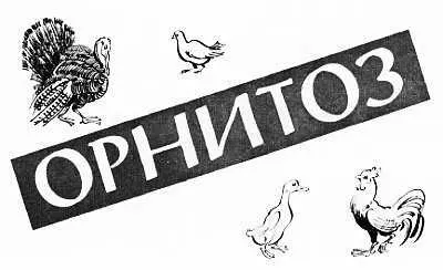 Нередко на улице можно наблюдать как прохожий подбирает больного ослабевшего - фото 13