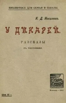 Константин Носилов - У дикарей [Рассказы. Совр. орф.]