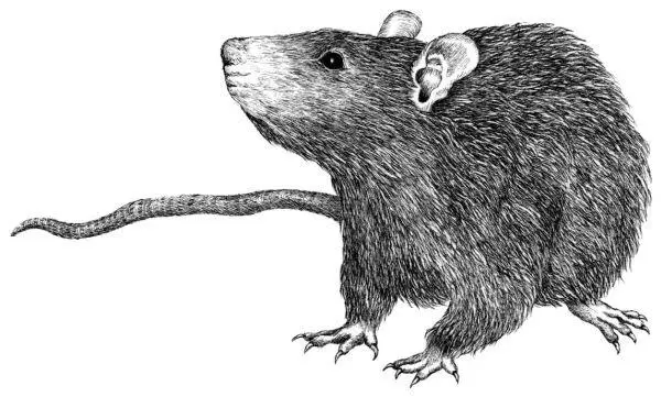 Рис 20 Ученые из Массачусетского технологического института убеждены что - фото 20