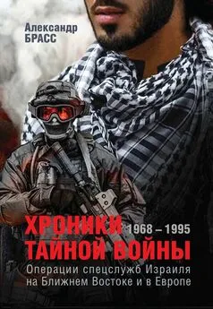 Александр Брасс - Хроники тайной войны. 1968–1995. Операции спецслужб Израиля на Ближнем Востоке и в Европе