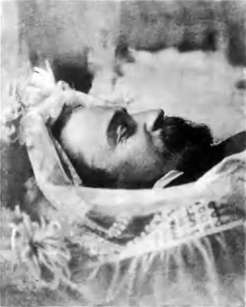 В Э БорисовМусатов в дни прощания 2628 октября 1905 года Таруса - фото 44