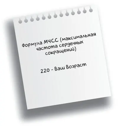 Вам понадобится рассчитать свою максимальную частоту сердечных сокращений - фото 15