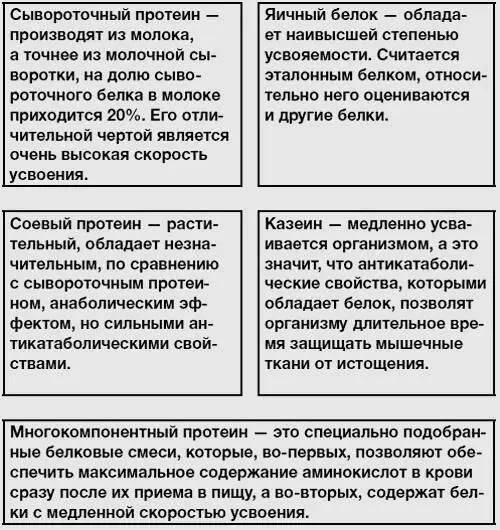 Кроме того протеины подразделяются по способу их получения Классификация - фото 51