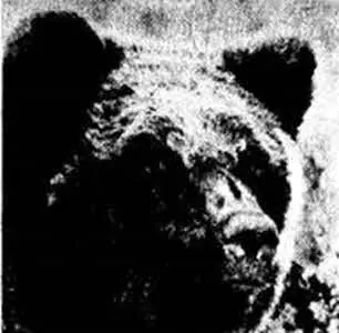 Заметки натуралиста Фото В Н Михайлова В 1968 году в журнале Наука и - фото 41