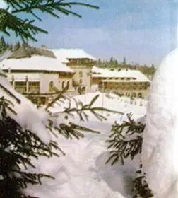 Гостиница Спорт на климатическом туристском курорте Пойяна самая лучшая в - фото 105