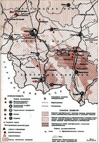 Территориальнопроизводственный комплекс КМА КМА это четыре ведущих - фото 152