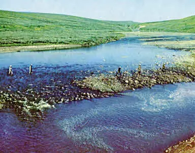 Реки тундры во многих местах можно перейти вброд Даже в июле когда - фото 176