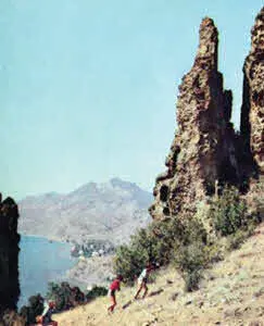 Ялта Скалы Карадага Древовидный можжевельник Скалы КобаТейе - фото 106