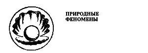 Алексей Тиваненко ЗАГАДКИ УШКАНЬИХ ОСТРОВОВ Худ М Худатов Фото Г - фото 193