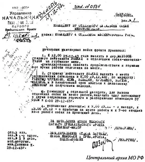Примечания 1 Документы 470го методикокинологического центра служебного - фото 23