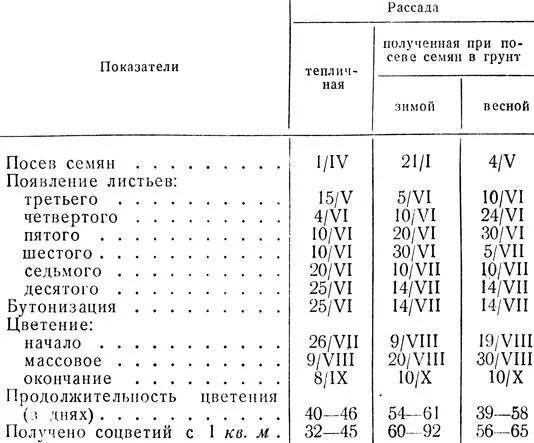 Таблица 9 Характеристика астр сорта Розовидная крупноцветная выращенных из - фото 43