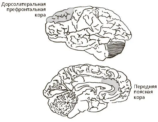 Рис 34 Когда специалисты рассматривали физически невозможные электрические - фото 13