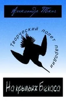 Александр Ткач - На крыльях Бекаса