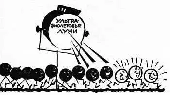 СВЕТЯЩИЕСЯ НЕВИДИМКИ Люминесцентный микроскоп это еще одна новая веха в - фото 13