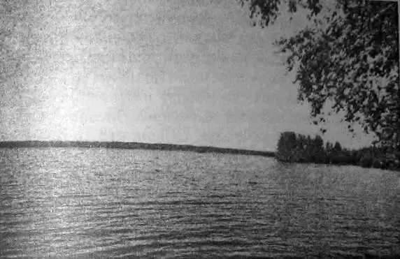 Рис 49 Ведлозеро Место падения НЛО снимок В Б Сапунова сделанный во - фото 51