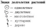 От происхождения и биологических особенностей зависят условия жизни и уход - фото 34