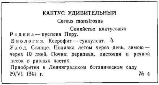 Паспорт можно оклеить целлофаном или окантовать под стекло На одном или двух - фото 35