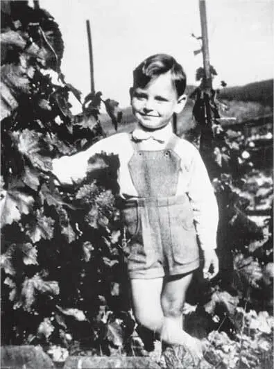 Эрвин в 1961 году Счастливая пора пять лет Частная коллекция Когда я - фото 35
