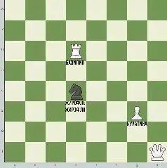 Жирофля хотела на b5 чтобы оттель грозить коту Более умная Жирофле предлагала - фото 8