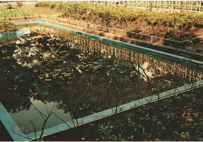 94 ЙОСИКО СЕЙНО Токио 1997 Фотографии Сейно часто содержат в себе - фото 95