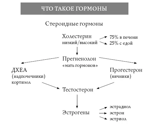 Из моей книги Обнаженная красота вы знаете что распространенное мнение о - фото 28