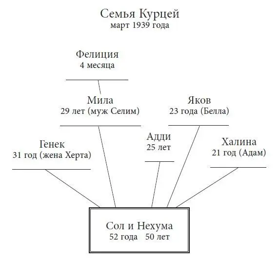 Часть первая Глава 1 Адди Париж Франция начало марта 1939 года Он не - фото 1