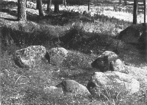 Жальниковое захоронение Раскопки у Чудской Рудницы Раскрыты древние - фото 191