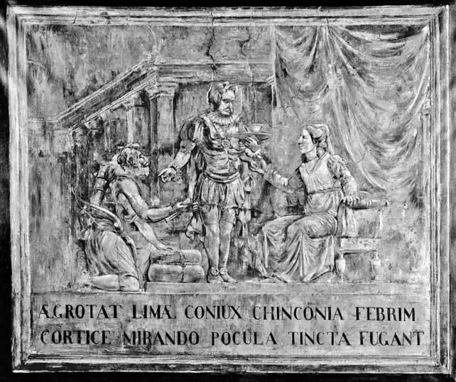 Лечение графини Чинчон хинином 1638 эта картина написанная около 1850 - фото 7