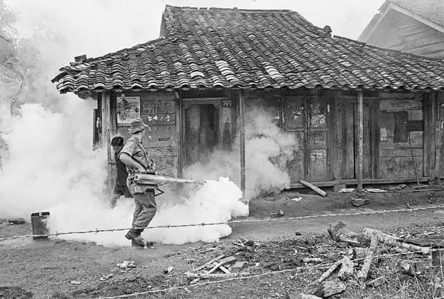 Сражение с комарами в Хоа Лонг Южный Вьетнам 1968 капрал Лес Нанн из 1го - фото 28