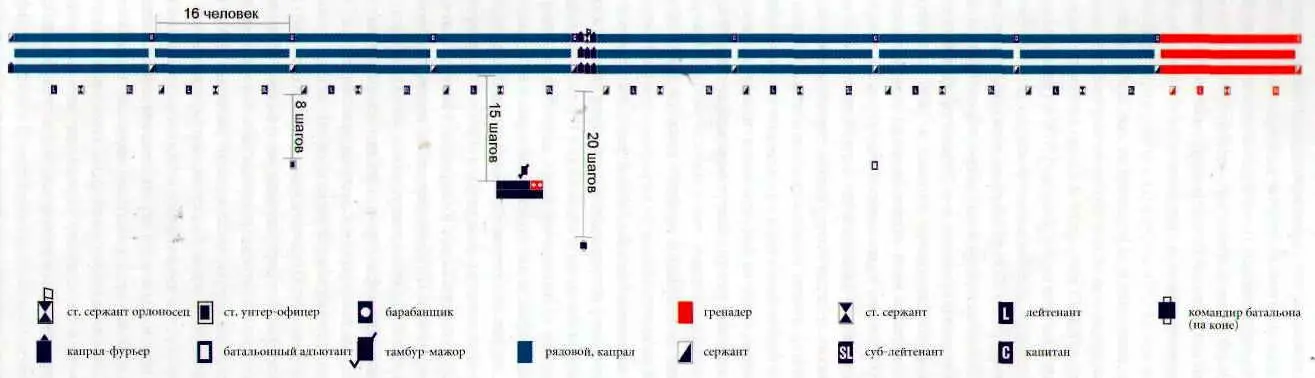 Батальон в развернутой линии по регламенту 1791 г Взвод построенный по - фото 96