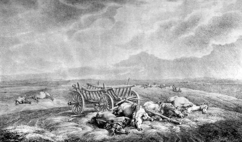 А Адам Перед Пилонами неподалеку от Немана 29 июня 1812 г Во множестве - фото 156