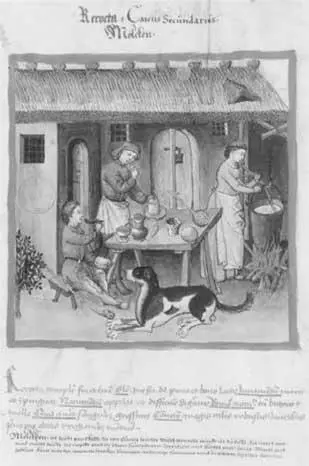 Приготовление рикотты Рисунок на бумаге из книги иракского врача Ибн Бутлана - фото 9