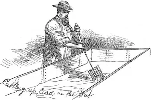 Нарезка творога The Illustrated London News 4 ноября 1876 г Хотя сыроделы и - фото 12