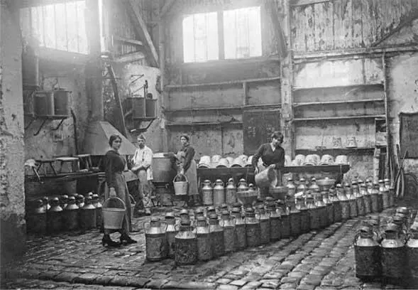 Француз и француженки за работой на молочной ферме Около 1910 г - фото 44
