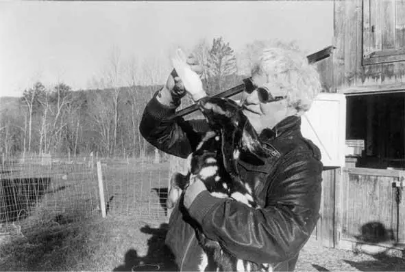 Автор кормит козленка на ферме в Вермонте Фотография Доны Энн Макадамс Спасибо - фото 56