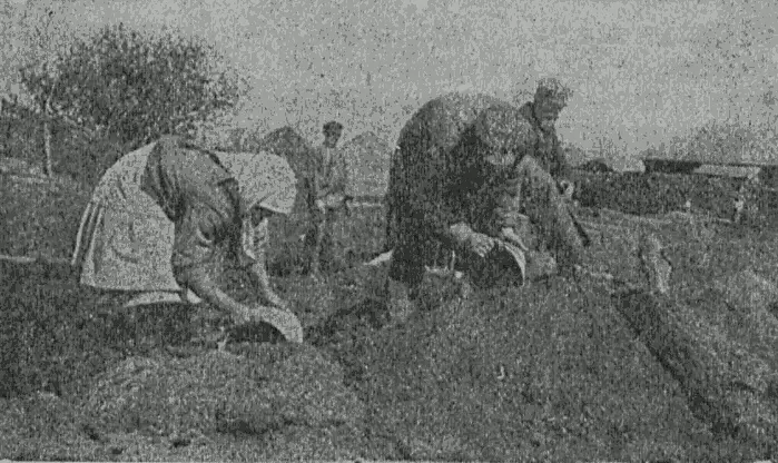 Рис 15 В нацменской сельскохозяйственной артели Марс кулаки сожгли амбары с - фото 15