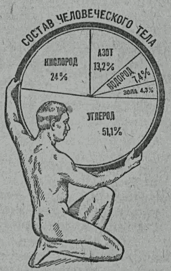 Рис 25 Состав человеческого тела Проделаем такой опыт Возьмем обыкновенную - фото 25