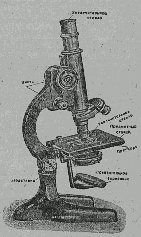 Рис 27 Микроскоп Кроме клеточного строения растений и животных при помощи - фото 27