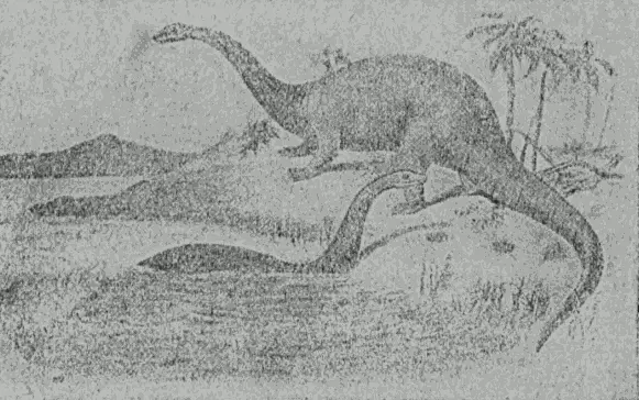 Рис 36 Диплодок вымершее травоядное пресмыкающееся В Америке в музее - фото 36