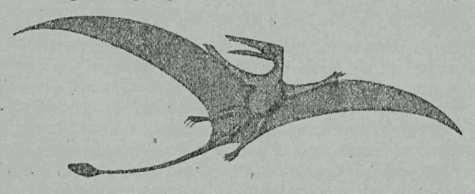 Рис 38 Птеродактиль Около 50 миллионов лет продолжалось господство - фото 38