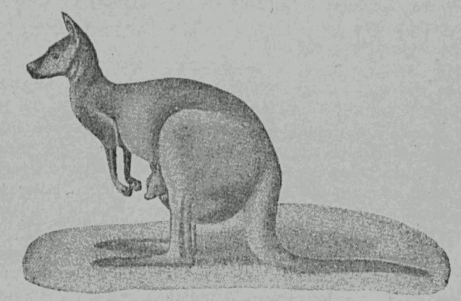 Рис 41 Кенгуру Во время новой эры в природе произошло событие которое - фото 41