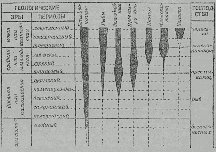 Рис 42 Таблица постепенного появления животных Чем же все это объясняется - фото 42