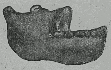 Рис 47 Нижняя челюсть гейдельберского человека Найдена в 1907 г От более - фото 47