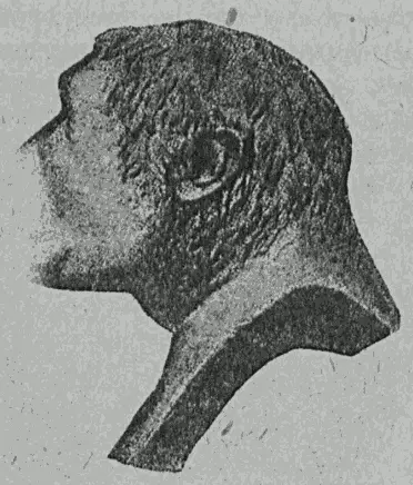 Рис 48 Внешний вид головы обезьяночеловека питекантропа сбоку Наконец - фото 48