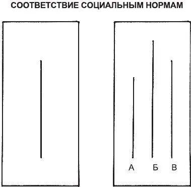 Рис 10Изображение двух карточек которые использовал Соломон Аш в своих - фото 19